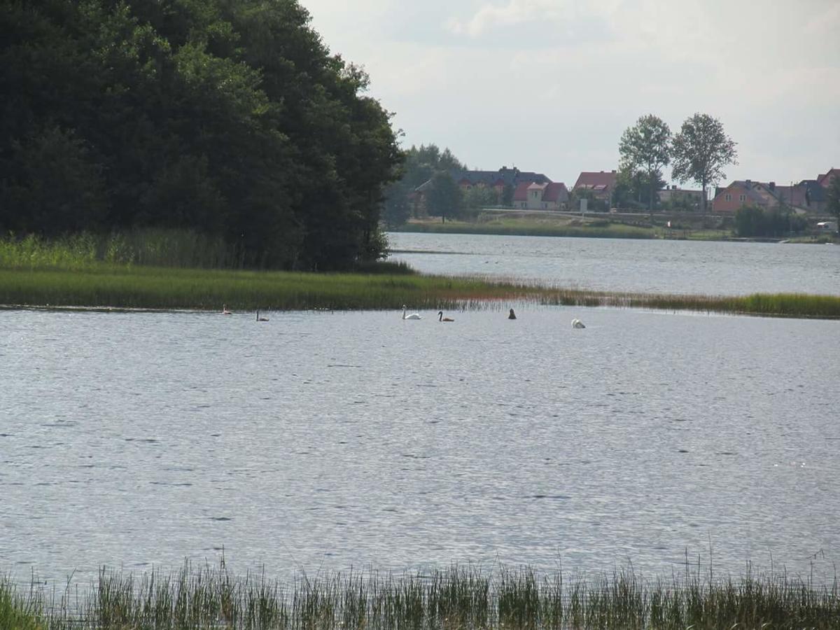 Bed and Breakfast Gościniec 16-TKA Kościerzyna Zewnętrze zdjęcie